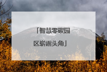 智慧零碳园区崭露头角