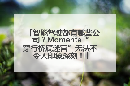 智能驾驶都有哪些公司？Momenta“穿行桥底迷宫”无法不令人印象深刻！