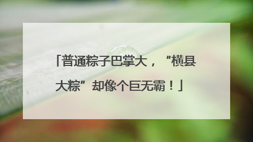普通粽子巴掌大，“横县大粽”却像个巨无霸！