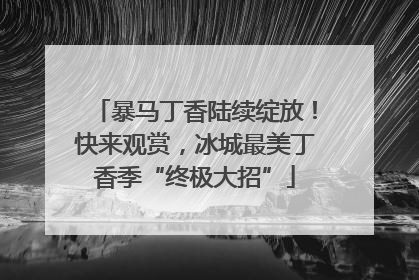 暴马丁香陆续绽放！快来观赏，冰城最美丁香季“终极大招”