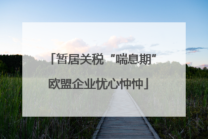 暂居关税“喘息期” 欧盟企业忧心忡忡
