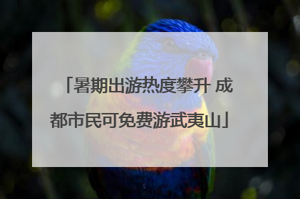 暑期出游热度攀升 成都市民可免费游武夷山