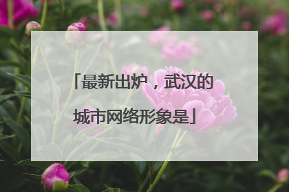 最新出炉，武汉的城市网络形象是