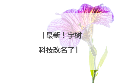 最新！宇树科技改名了