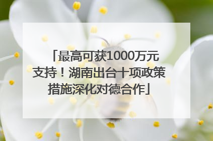最高可获1000万元支持！湖南出台十项政策措施深化对德合作