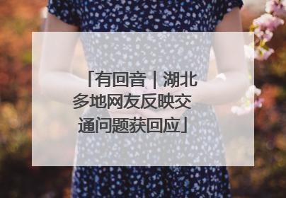 有回音｜湖北多地网友反映交通问题获回应