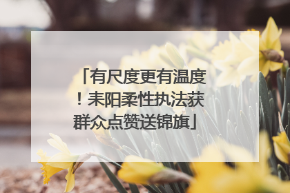 有尺度更有温度！耒阳柔性执法获群众点赞送锦旗