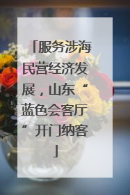 服务涉海民营经济发展，山东“蓝色会客厅”开门纳客