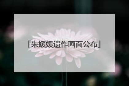 朱媛媛遗作画面公布