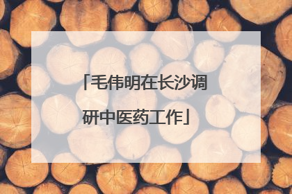 毛伟明在长沙调研中医药工作