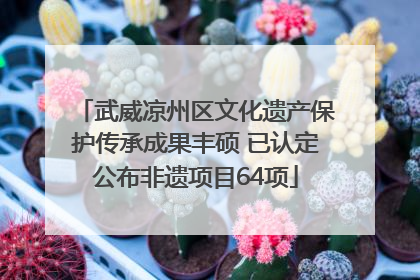 武威凉州区文化遗产保护传承成果丰硕 已认定公布非遗项目64项