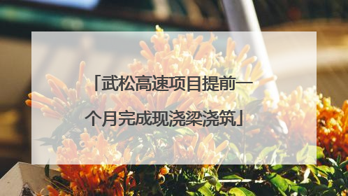 武松高速项目提前一个月完成现浇梁浇筑