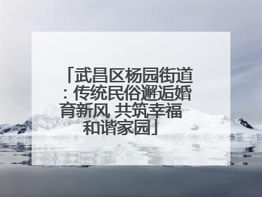 武昌区杨园街道：传统民俗邂逅婚育新风 共筑幸福和谐家园