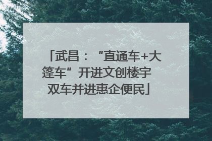 武昌：“直通车+大篷车”开进文创楼宇 双车并进惠企便民