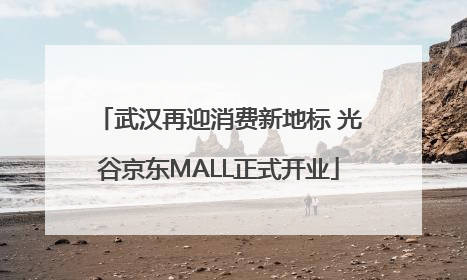 武汉再迎消费新地标 光谷京东MALL正式开业
