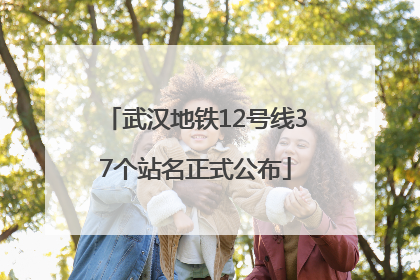 武汉地铁12号线37个站名正式公布