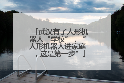 武汉有了人形机器人“学校”，“人形机器人进家庭，这是第一步”