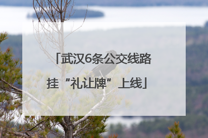 武汉6条公交线路挂“礼让牌”上线
