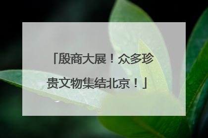 殷商大展！众多珍贵文物集结北京！