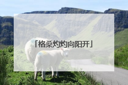 格桑灼灼向阳开