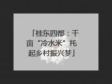 桂东四都：千亩“冷水米”托起乡村振兴梦