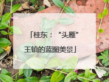 桂东：“头雁”王镇的蓝图美景
