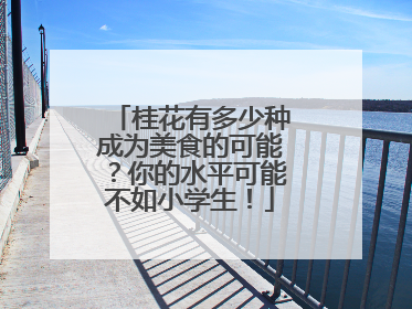 桂花有多少种成为美食的可能？你的水平可能不如小学生！