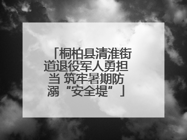 桐柏县清淮街道退役军人勇担当 筑牢暑期防溺“安全堤”