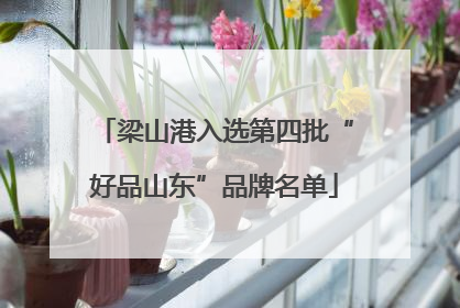 梁山港入选第四批“好品山东”品牌名单