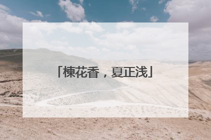 楝花香，夏正浅