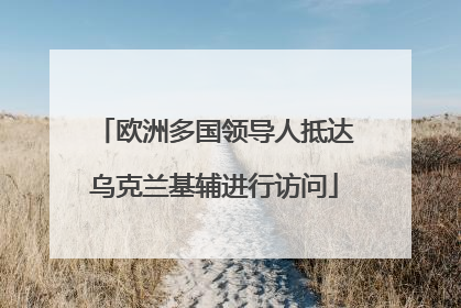 欧洲多国领导人抵达乌克兰基辅进行访问