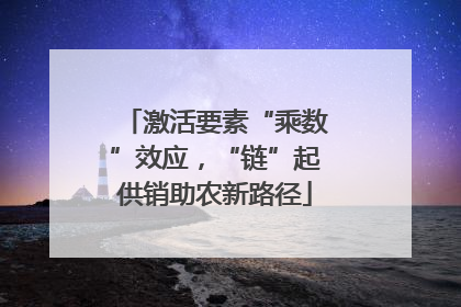 激活要素“乘数”效应，“链”起供销助农新路径