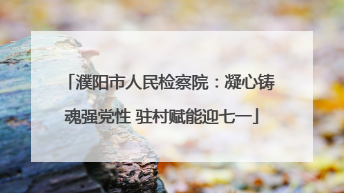 濮阳市人民检察院：凝心铸魂强党性 驻村赋能迎七一