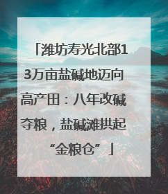 潍坊寿光北部13万亩盐碱地迈向高产田：八年改碱夺粮，盐碱滩拱起“金粮仓”