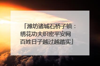 潍坊诸城石桥子镇：绣花功夫织密平安网 百姓日子越过越踏实