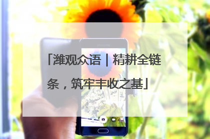 潍观众语｜精耕全链条，筑牢丰收之基