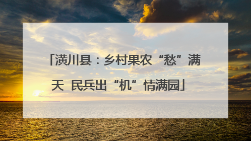 潢川县：乡村果农“愁”满天  民兵出“机”情满园