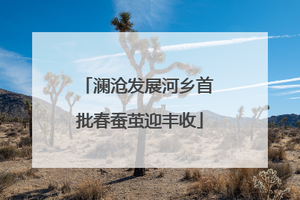 澜沧发展河乡首批春蚕茧迎丰收