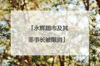 永辉超市及其董事长被限消