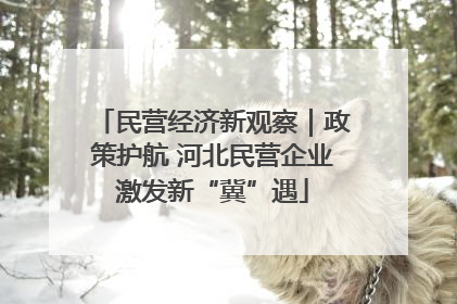 民营经济新观察｜政策护航 河北民营企业激发新“冀”遇