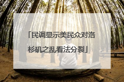 民调显示美民众对洛杉矶之乱看法分裂