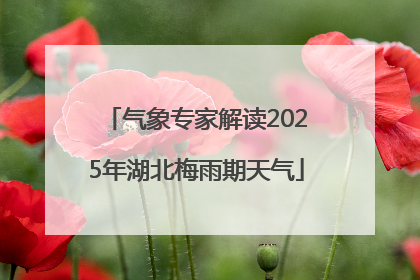 气象专家解读2025年湖北梅雨期天气