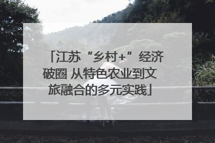 江苏“乡村+”经济破圈 从特色农业到文旅融合的多元实践