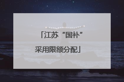 江苏“国补”采用限额分配