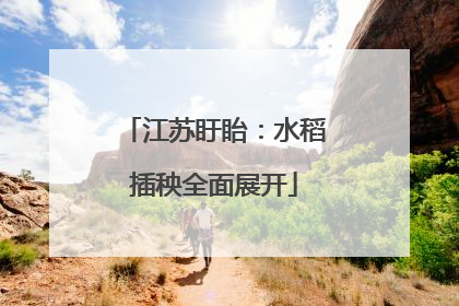 江苏盱眙：水稻插秧全面展开