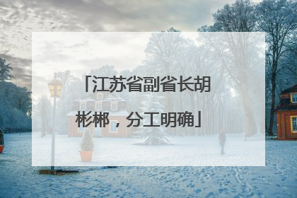 江苏省副省长胡彬郴，分工明确