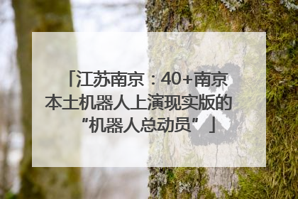 江苏南京：40+南京本土机器人上演现实版的“机器人总动员”