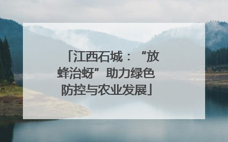 江西石城：“放蜂治蚜”助力绿色防控与农业发展