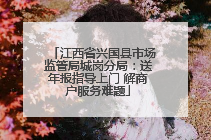 江西省兴国县市场监管局城岗分局：送年报指导上门 解商户服务难题