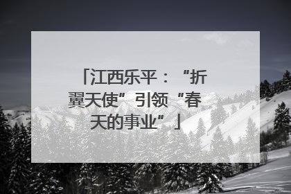 江西乐平：“折翼天使”引领“春天的事业”